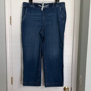 torrid Weekend Wide Leg Jean 2R EUC